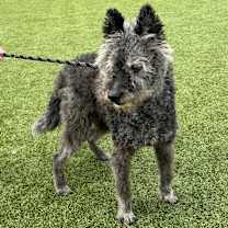 Thumbnail photo of Rory #3