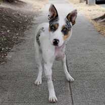 Thumbnail photo of TONY #2