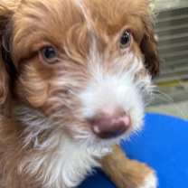 Thumbnail photo of Jacob #1