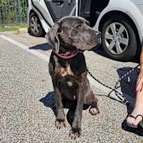 Thumbnail photo of Halo #2