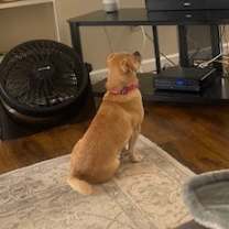 Thumbnail photo of Thelma #4