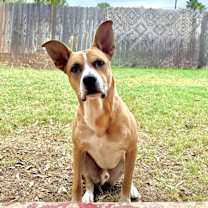 Thumbnail photo of Bear #1