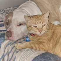 Thumbnail photo of Petey #3