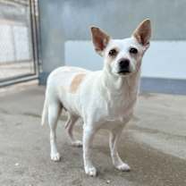 Thumbnail photo of Chrissy #3