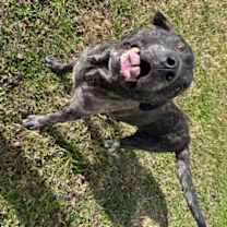 Thumbnail photo of Clyde #3