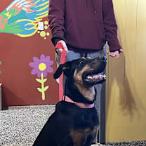 Thumbnail photo of May #1