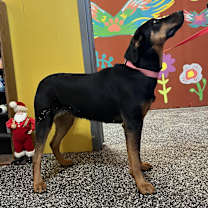 Thumbnail photo of May #2