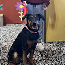 Thumbnail photo of May #3