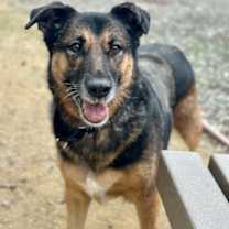 Thumbnail photo of PEPPER #2