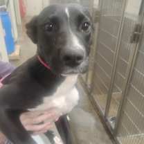 Thumbnail photo of Sharon #2