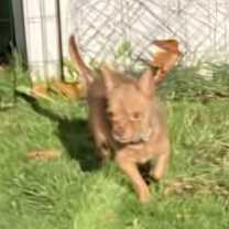 Thumbnail photo of Green Beans #3