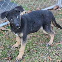 Thumbnail photo of Rasheda #1