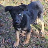 Thumbnail photo of Rasheda #2