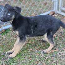 Thumbnail photo of Rasheda #3