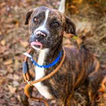 Thumbnail photo of Roywell #1