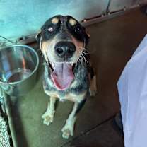 Thumbnail photo of Eric  #3