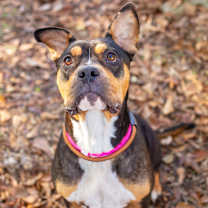 Thumbnail photo of Trudy #1