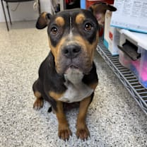 Thumbnail photo of Trudy #2