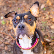 Thumbnail photo of Trudy #3