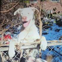 Thumbnail photo of Groove #2