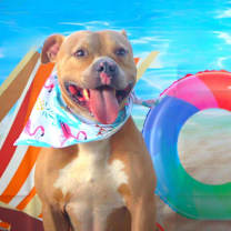 Thumbnail photo of Mason JuM #1