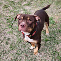 Thumbnail photo of Bearlow JuM #1