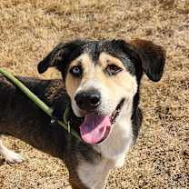 Thumbnail photo of Helene JuM #1