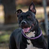 Thumbnail photo of Skye JuM #2