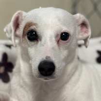 Thumbnail photo of Snow #1