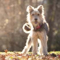 Thumbnail photo of Ethel  #1