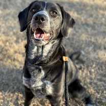 Thumbnail photo of Maybelline #1