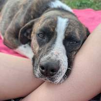 Thumbnail photo of Beck #2