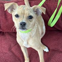 Thumbnail photo of Maya #2