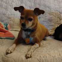 Thumbnail photo of Freddie #1