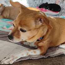 Thumbnail photo of Freddie #2