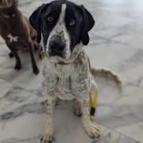 Thumbnail photo of Lucey #3