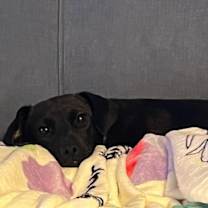 Thumbnail photo of Camilla #4