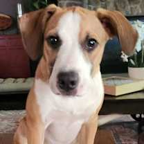 Thumbnail photo of Mikey #1