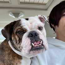 Thumbnail photo of Rebel #1