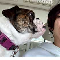 Thumbnail photo of Rebel #3