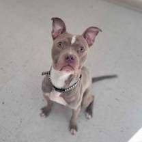 Thumbnail photo of Aspen #2