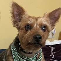 Thumbnail photo of Roscoe #2