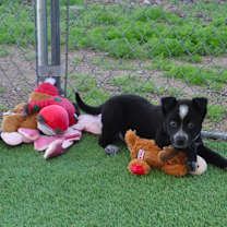 Thumbnail photo of Snap #2