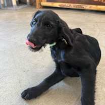 Thumbnail photo of Nicholas #4