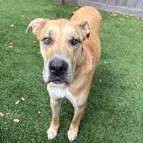 Thumbnail photo of Romeo 8629 #1