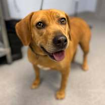 Thumbnail photo of Mrs. Hennessy #1