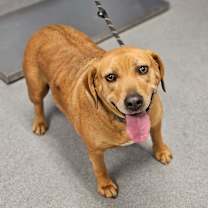 Thumbnail photo of Mrs. Hennessy #2