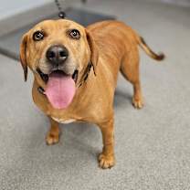 Thumbnail photo of Mrs. Hennessy #3