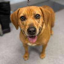 Thumbnail photo of Mrs. Hennessy #4