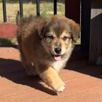 Thumbnail photo of Yogi JuM #1